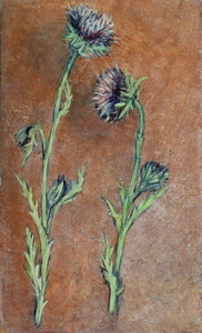 Werkverzeichnis Nr. 43, um 1949, Studie zweier Diesteln, Öl auf Karton, 27,6 x 16,8 cm