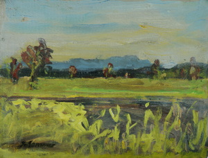Werkverzeichnis Nr. 211, um 1964, Mooslandschaft, Öl auf Karton, 26,2 x 34,7 cm